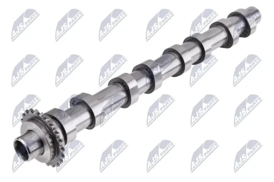 Nockenwelle Einlassseite NTY RKZ-CT-005 Bild Nockenwelle Einlassseite NTY RKZ-CT-005