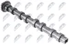 Nockenwelle Einlassseite NTY RKZ-CT-005