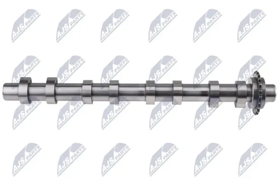 Nockenwelle Einlassseite NTY RKZ-CT-005 Bild Nockenwelle Einlassseite NTY RKZ-CT-005