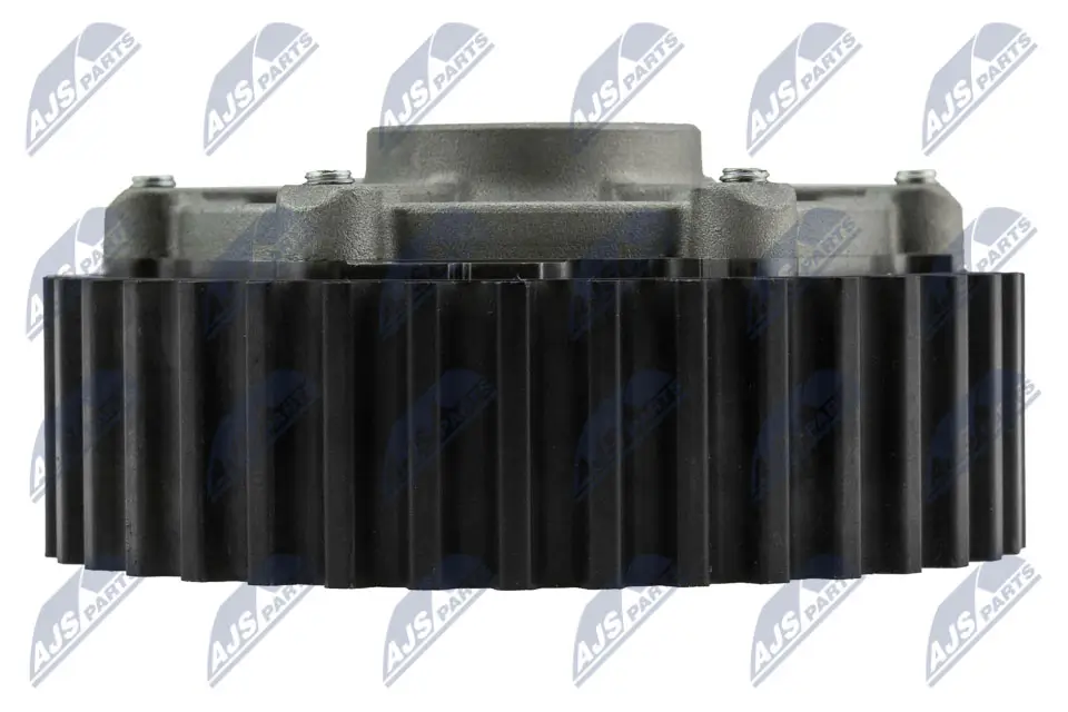 Stellelement, Exzenterwelle (variabler Ventilhub) NTY RKZ-RE-001