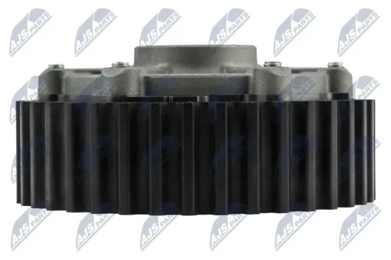 Stellelement, Exzenterwelle (variabler Ventilhub) NTY RKZ-RE-001 Bild Stellelement, Exzenterwelle (variabler Ventilhub) NTY RKZ-RE-001