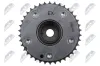 Nockenwellenversteller NTY RKZ-RE-009 Bild Nockenwellenversteller NTY RKZ-RE-009