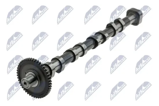 Nockenwelle Auslassseite NTY RKZ-VW-000 Bild Nockenwelle Auslassseite NTY RKZ-VW-000