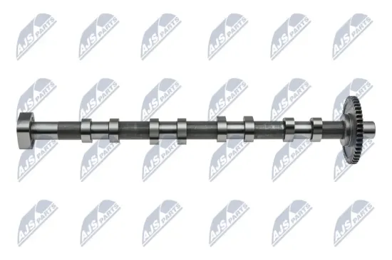 Nockenwelle Auslassseite NTY RKZ-VW-000 Bild Nockenwelle Auslassseite NTY RKZ-VW-000