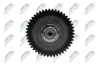 Nockenwelle Auslassseite NTY RKZ-VW-000 Bild Nockenwelle Auslassseite NTY RKZ-VW-000