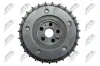 Zahnrad, Nockenwelle Auslassseite NTY RKZ-VW-008 Bild Zahnrad, Nockenwelle Auslassseite NTY RKZ-VW-008
