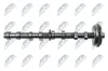 Nockenwelle Einlassseite NTY RKZ-WW-001 Bild Nockenwelle Einlassseite NTY RKZ-WW-001