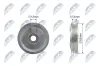 Umlenk-/F&uuml;hrungsrolle, Keilrippenriemen NTY RNK-TY-034