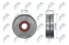 Umlenk-/F&uuml;hrungsrolle, Keilrippenriemen NTY RNK-VW-011