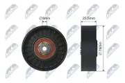 Umlenk-/Führungsrolle, Keilrippenriemen NTY RNK-WW-004