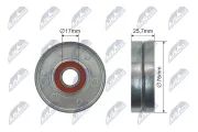 Umlenk-/Führungsrolle, Keilrippenriemen NTY RNK-WW-011