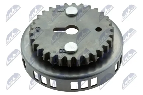 Steuerkettensatz NTY RZR-CH-003 Bild Steuerkettensatz NTY RZR-CH-003