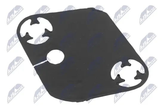 Dichtung, Steuerkettenspanner NTY RZR-PL-001 Bild Dichtung, Steuerkettenspanner NTY RZR-PL-001