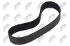 Keilrippenriemensatz NTY SPL-BM-001