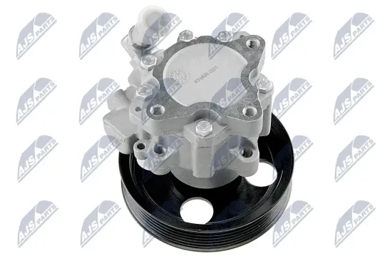 Hydraulikpumpe, Lenkung NTY SPW-AR-001 Bild Hydraulikpumpe, Lenkung NTY SPW-AR-001