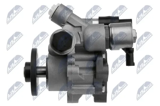 Hydraulikpumpe, Lenkung NTY SPW-BM-002 Bild Hydraulikpumpe, Lenkung NTY SPW-BM-002