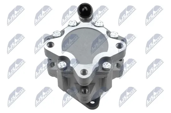 Hydraulikpumpe, Lenkung NTY SPW-BM-004 Bild Hydraulikpumpe, Lenkung NTY SPW-BM-004