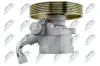 Hydraulikpumpe, Lenkung NTY SPW-CT-010 Bild Hydraulikpumpe, Lenkung NTY SPW-CT-010