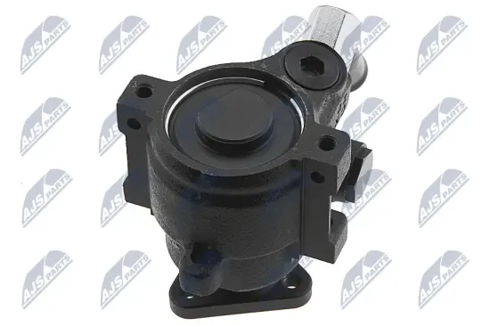 Hydraulikpumpe, Lenkung NTY SPW-FR-021 Bild Hydraulikpumpe, Lenkung NTY SPW-FR-021