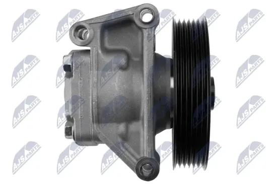 Hydraulikpumpe, Lenkung NTY SPW-FR-038 Bild Hydraulikpumpe, Lenkung NTY SPW-FR-038