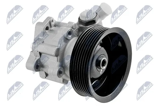 Hydraulikpumpe, Lenkung NTY SPW-LR-009 Bild Hydraulikpumpe, Lenkung NTY SPW-LR-009