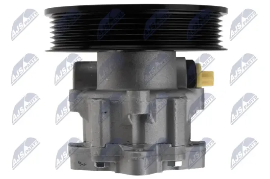 Hydraulikpumpe, Lenkung NTY SPW-LR-023 Bild Hydraulikpumpe, Lenkung NTY SPW-LR-023