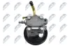 Hydraulikpumpe, Lenkung NTY SPW-MS-017 Bild Hydraulikpumpe, Lenkung NTY SPW-MS-017