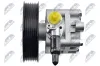 Hydraulikpumpe, Lenkung NTY SPW-NS-013 Bild Hydraulikpumpe, Lenkung NTY SPW-NS-013