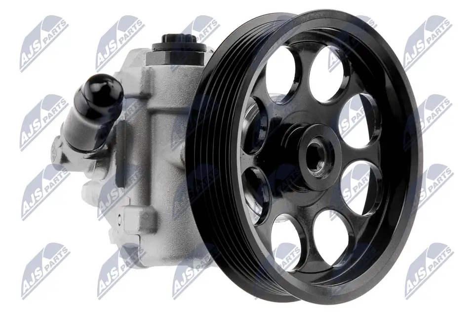 Hydraulikpumpe, Lenkung NTY SPW-PL-010