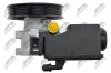 Hydraulikpumpe, Lenkung NTY SPW-PL-011 Bild Hydraulikpumpe, Lenkung NTY SPW-PL-011