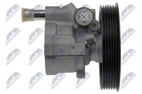 Hydraulikpumpe, Lenkung NTY SPW-RE-001 Bild Hydraulikpumpe, Lenkung NTY SPW-RE-001