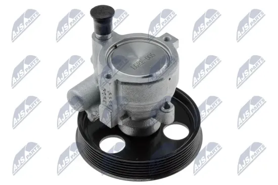 Hydraulikpumpe, Lenkung NTY SPW-RE-005 Bild Hydraulikpumpe, Lenkung NTY SPW-RE-005