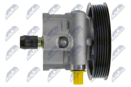 Hydraulikpumpe, Lenkung NTY SPW-RE-006 Bild Hydraulikpumpe, Lenkung NTY SPW-RE-006