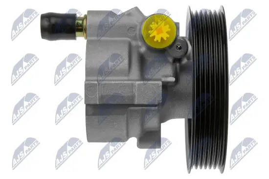 Hydraulikpumpe, Lenkung NTY SPW-RE-006 Bild Hydraulikpumpe, Lenkung NTY SPW-RE-006