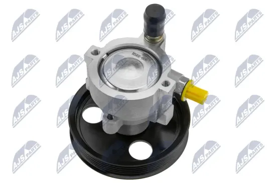 Hydraulikpumpe, Lenkung NTY SPW-RE-006 Bild Hydraulikpumpe, Lenkung NTY SPW-RE-006