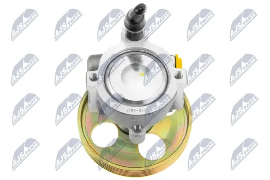 Hydraulikpumpe, Lenkung NTY SPW-RE-012 Bild Hydraulikpumpe, Lenkung NTY SPW-RE-012