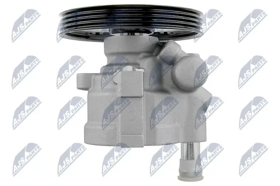 Hydraulikpumpe, Lenkung NTY SPW-RE-013 Bild Hydraulikpumpe, Lenkung NTY SPW-RE-013