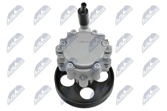 Hydraulikpumpe, Lenkung NTY SPW-RE-015 Bild Hydraulikpumpe, Lenkung NTY SPW-RE-015