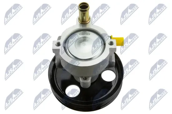 Hydraulikpumpe, Lenkung NTY SPW-RE-019 Bild Hydraulikpumpe, Lenkung NTY SPW-RE-019