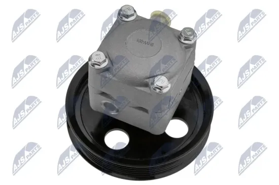 Hydraulikpumpe, Lenkung NTY SPW-VV-001 Bild Hydraulikpumpe, Lenkung NTY SPW-VV-001