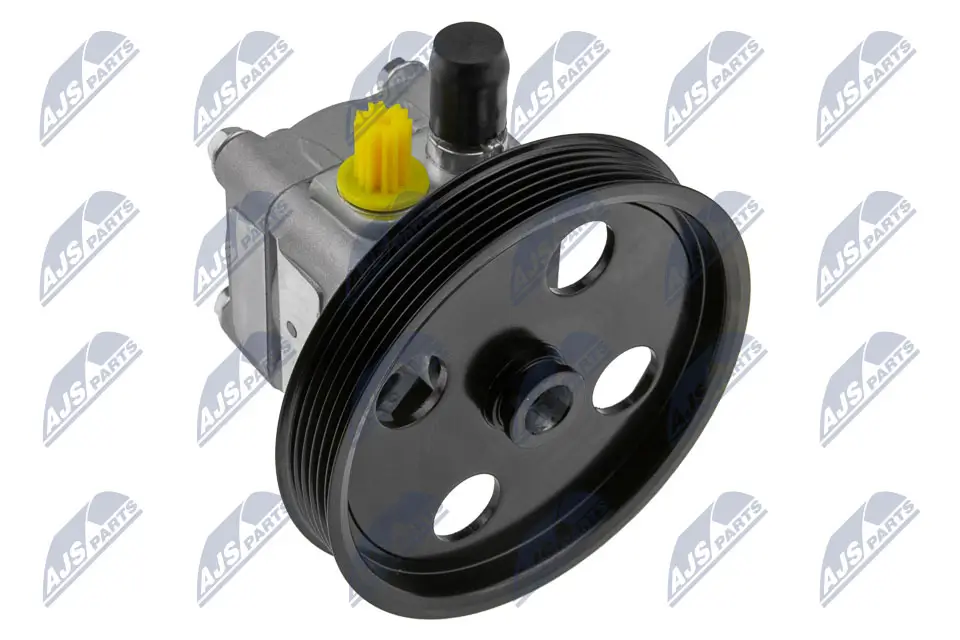 Hydraulikpumpe, Lenkung NTY SPW-VV-004