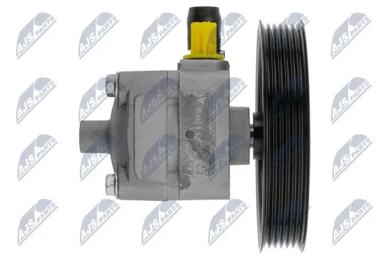 Hydraulikpumpe, Lenkung NTY SPW-VV-004 Bild Hydraulikpumpe, Lenkung NTY SPW-VV-004