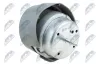 Lagerung, Motor vorne rechts NTY ZPS-AU-040 Bild Lagerung, Motor vorne rechts NTY ZPS-AU-040