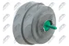 Lagerung, Motor vorne rechts NTY ZPS-AU-041 Bild Lagerung, Motor vorne rechts NTY ZPS-AU-041