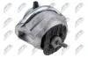 Lagerung, Motor links NTY ZPS-BM-025