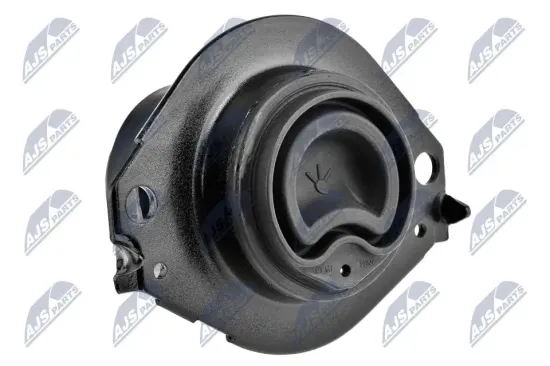 Lagerung, Motor beidseitig NTY ZPS-CH-076 Bild Lagerung, Motor beidseitig NTY ZPS-CH-076