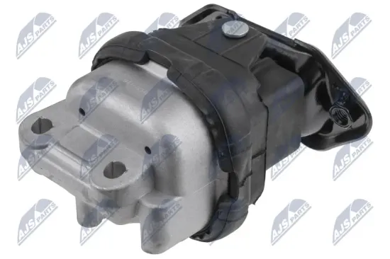 Lagerung, Motor beidseitig NTY ZPS-CH-116 Bild Lagerung, Motor beidseitig NTY ZPS-CH-116