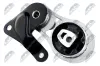 Lagerung, Motor hinten NTY ZPS-FR-001 Bild Lagerung, Motor hinten NTY ZPS-FR-001
