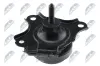 Lagerung, Motor vorne links NTY ZPS-HD-090 Bild Lagerung, Motor vorne links NTY ZPS-HD-090