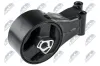 Lagerung, Motor hinten unten vorne NTY ZPS-PL-022 Bild Lagerung, Motor hinten unten vorne NTY ZPS-PL-022
